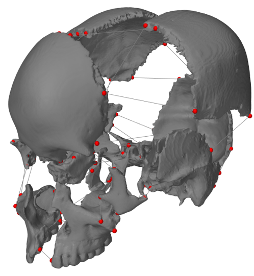 Simulation in ArtiSynth