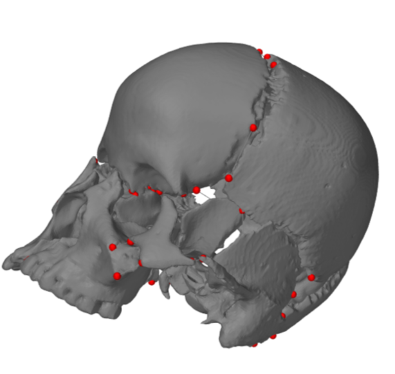 Simulation in ArtiSynth